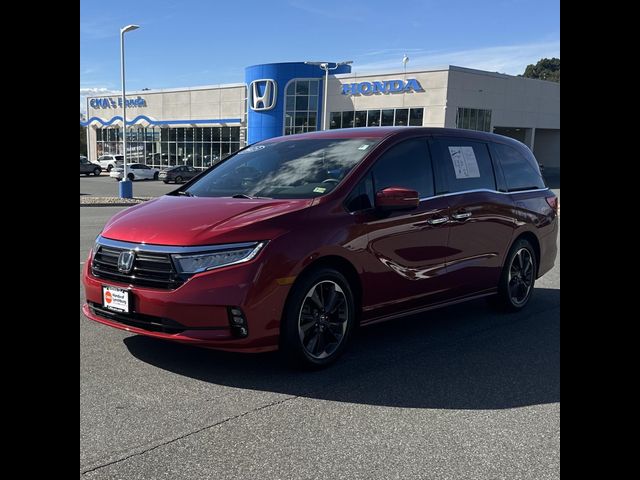 2023 Honda Odyssey Elite