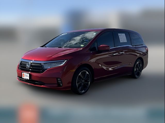 2023 Honda Odyssey Elite