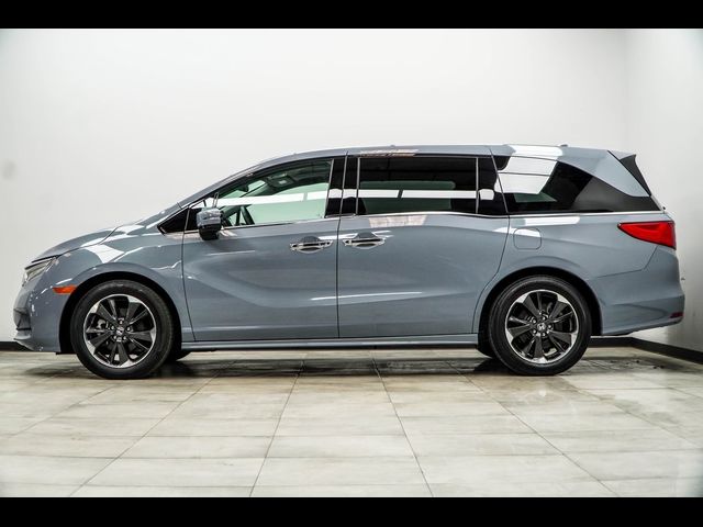 2023 Honda Odyssey Elite