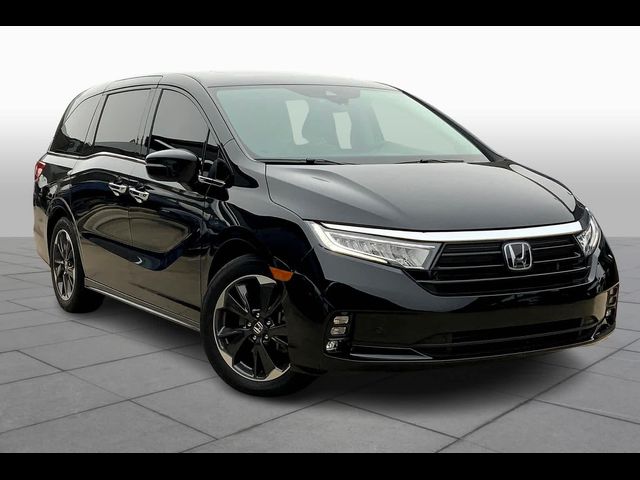 2023 Honda Odyssey Elite