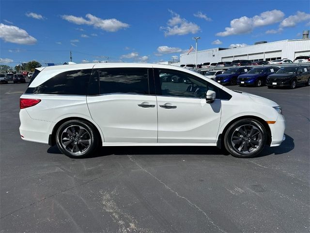 2023 Honda Odyssey Elite