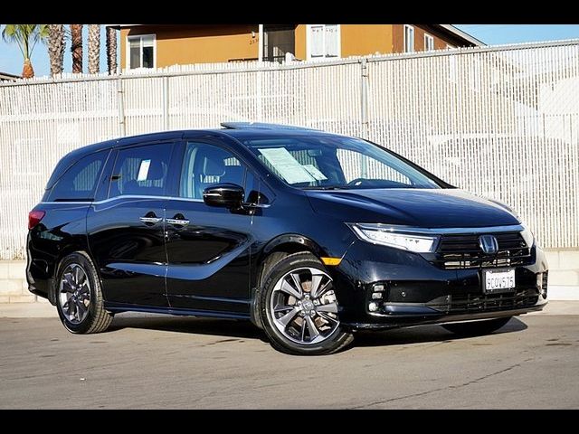 2023 Honda Odyssey Elite