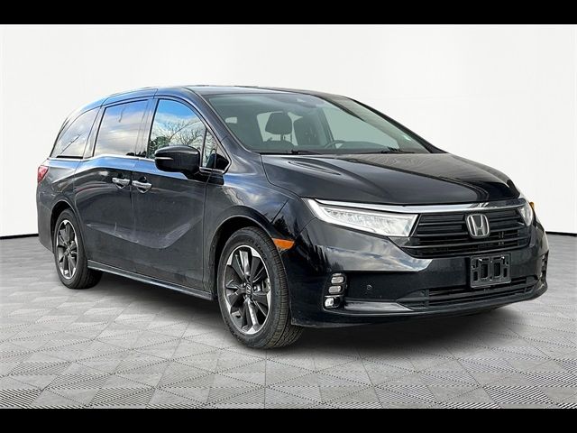 2023 Honda Odyssey Elite