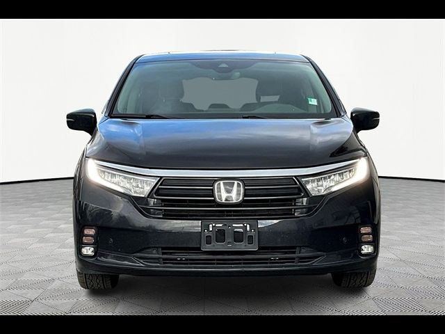 2023 Honda Odyssey Elite