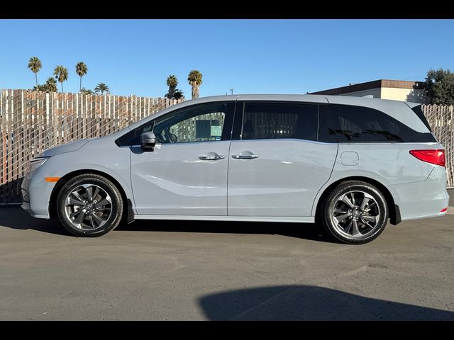 2023 Honda Odyssey Elite