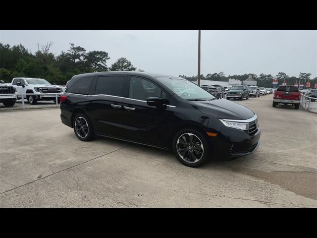 2023 Honda Odyssey Elite