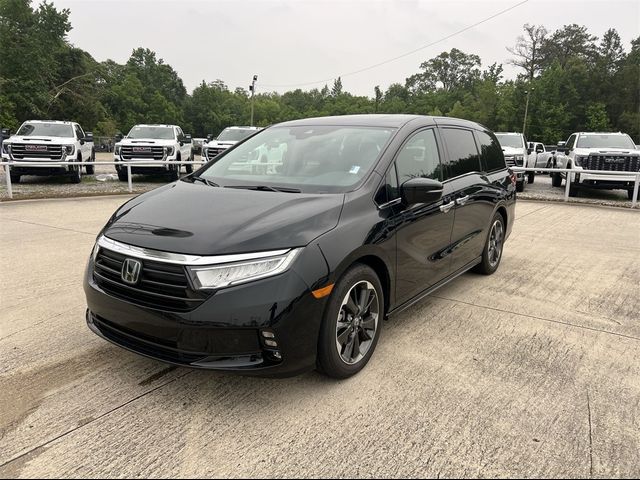 2023 Honda Odyssey Elite