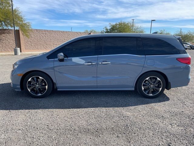 2023 Honda Odyssey Elite