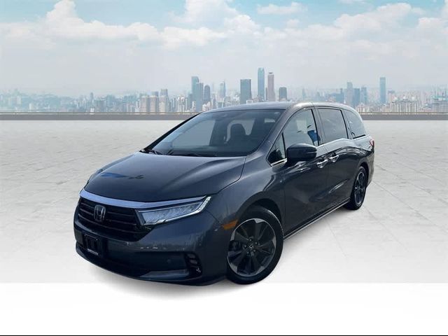 2023 Honda Odyssey Elite