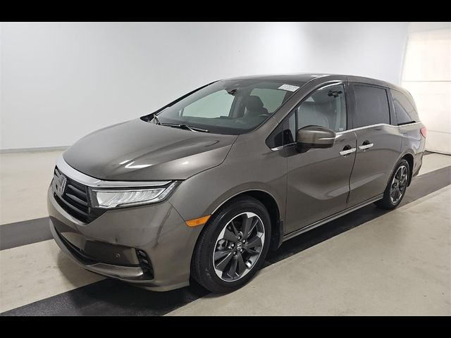 2023 Honda Odyssey Elite