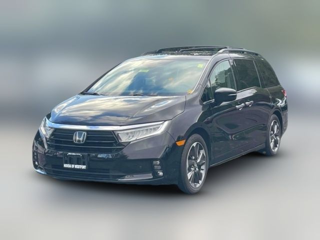 2023 Honda Odyssey Elite