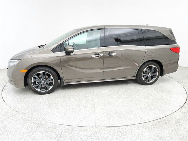 2023 Honda Odyssey Elite