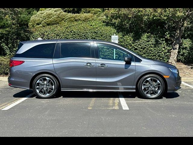 2023 Honda Odyssey Elite