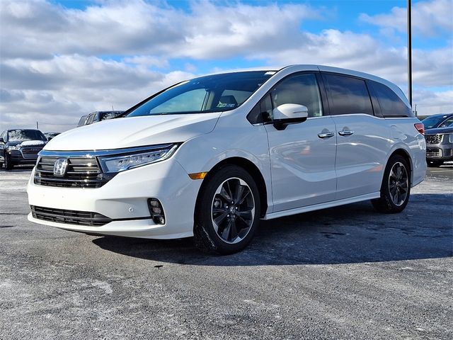 2023 Honda Odyssey Elite