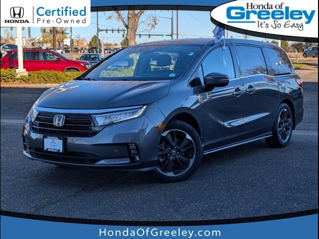 2023 Honda Odyssey Elite