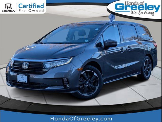 2023 Honda Odyssey Elite