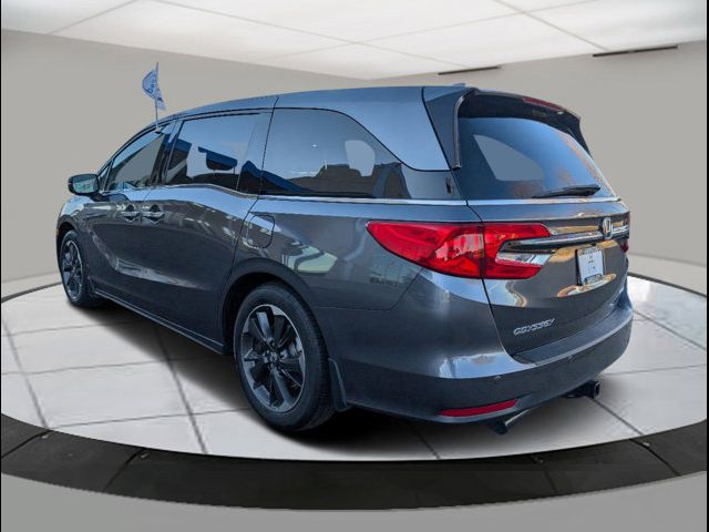 2023 Honda Odyssey Elite