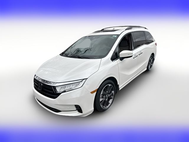 2023 Honda Odyssey Elite