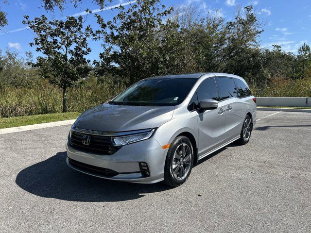 2023 Honda Odyssey Elite