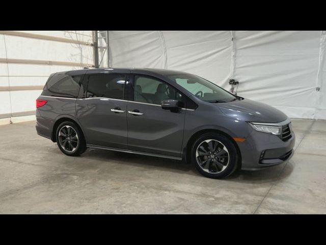 2023 Honda Odyssey Elite