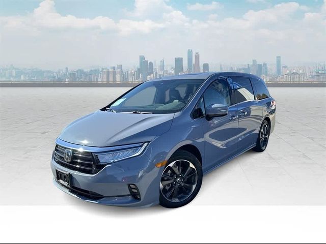 2023 Honda Odyssey Elite