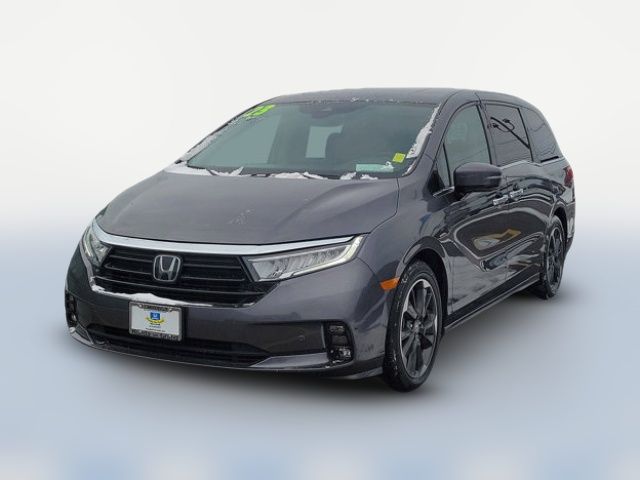 2023 Honda Odyssey Elite