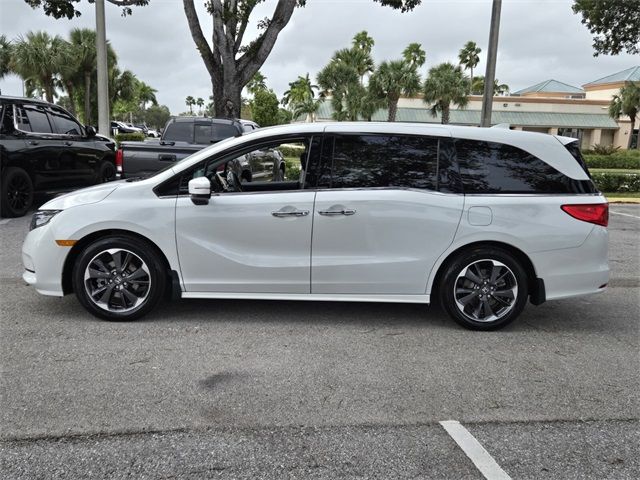 2023 Honda Odyssey Elite