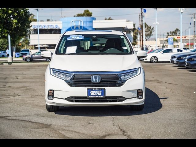 2023 Honda Odyssey Elite