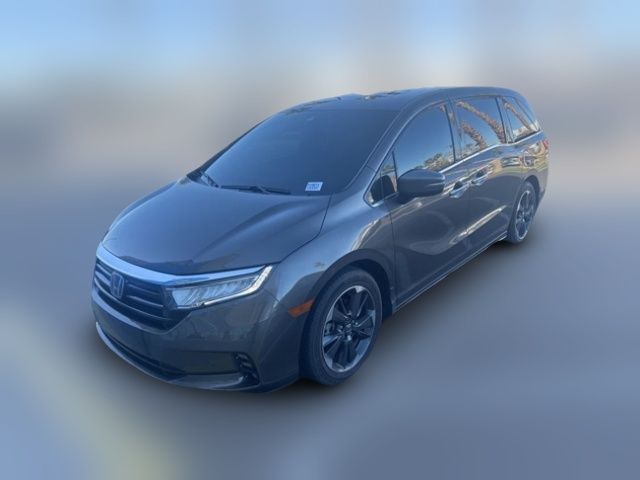 2023 Honda Odyssey Elite