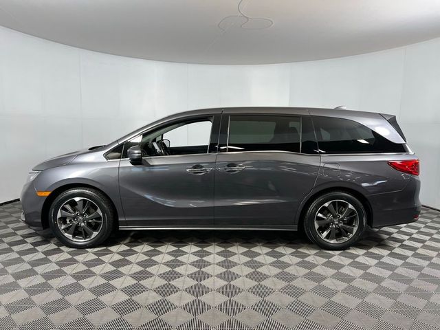 2023 Honda Odyssey Elite