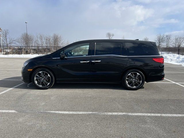 2023 Honda Odyssey Elite