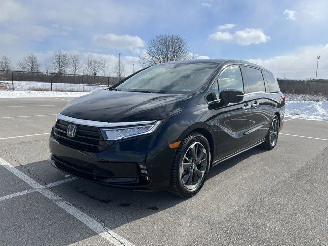 2023 Honda Odyssey Elite