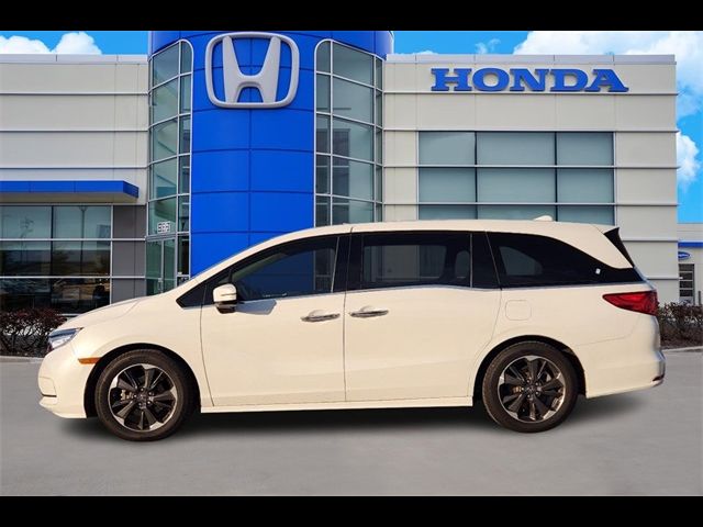 2023 Honda Odyssey Elite