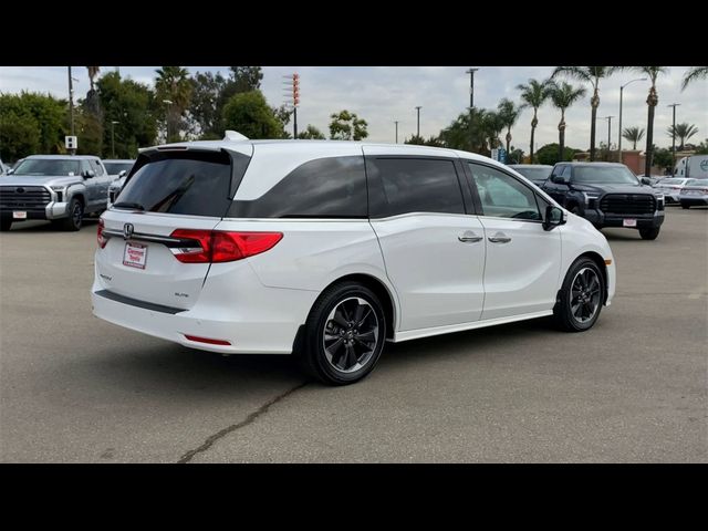 2023 Honda Odyssey Elite