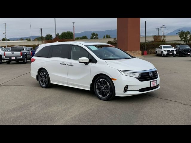 2023 Honda Odyssey Elite