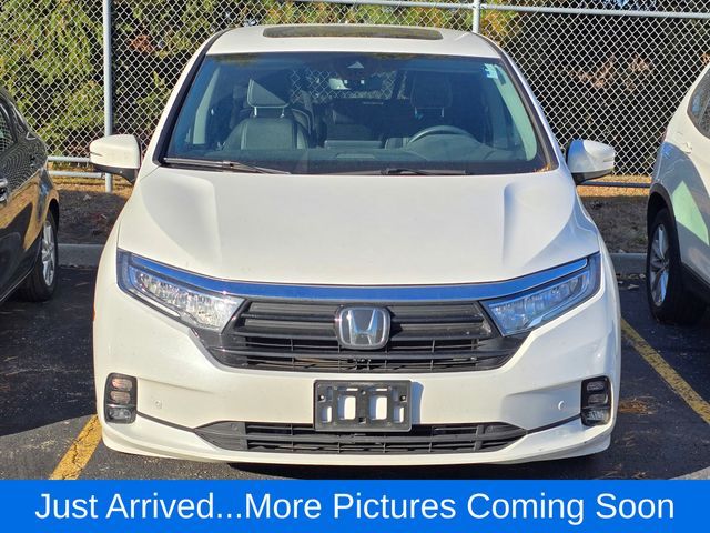 2023 Honda Odyssey Elite