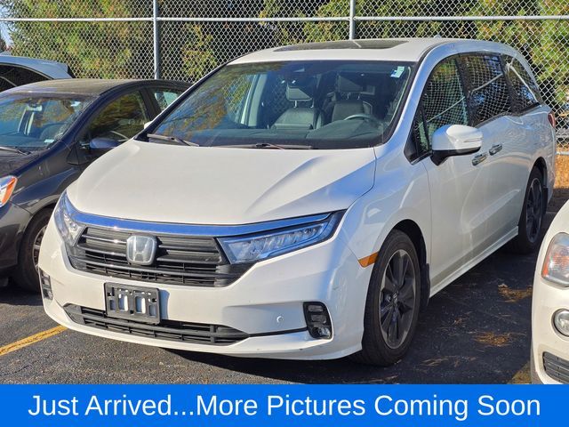 2023 Honda Odyssey Elite