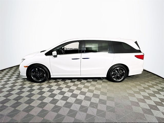 2023 Honda Odyssey Elite