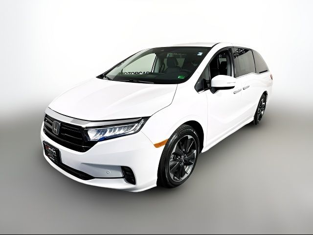 2023 Honda Odyssey Elite