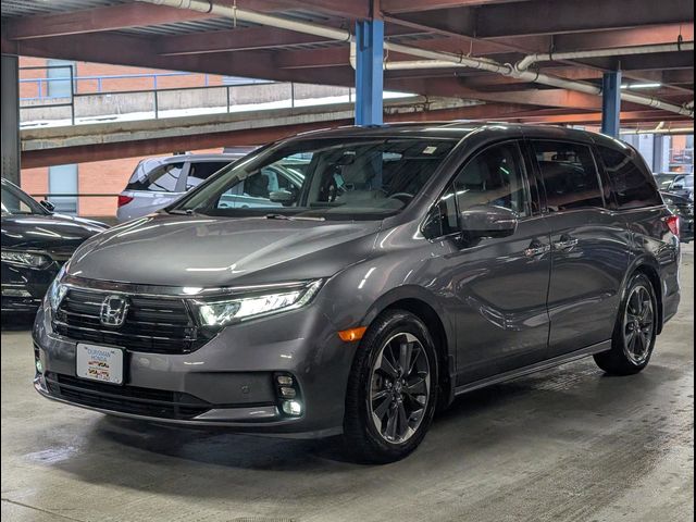 2023 Honda Odyssey Elite