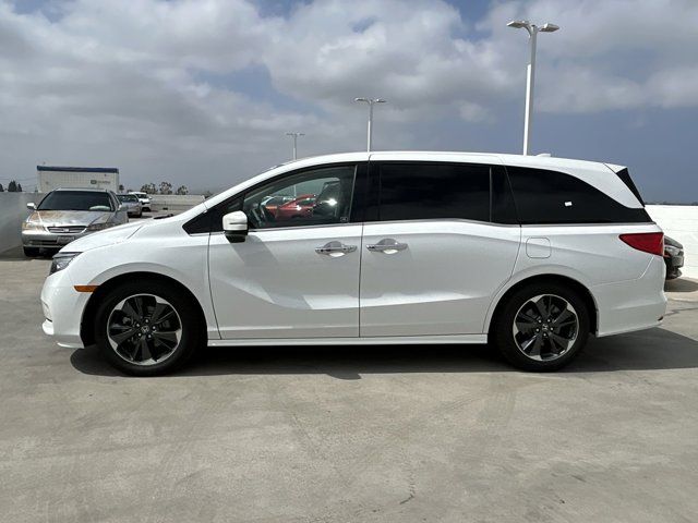 2023 Honda Odyssey Elite