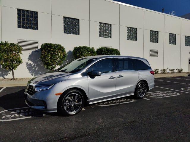 2023 Honda Odyssey Elite