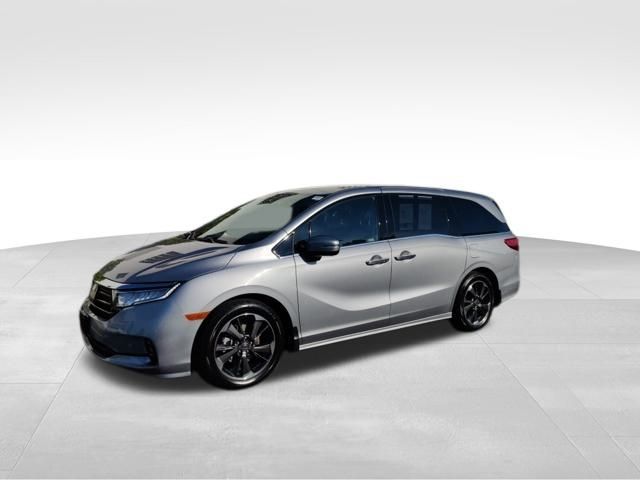 2023 Honda Odyssey Elite