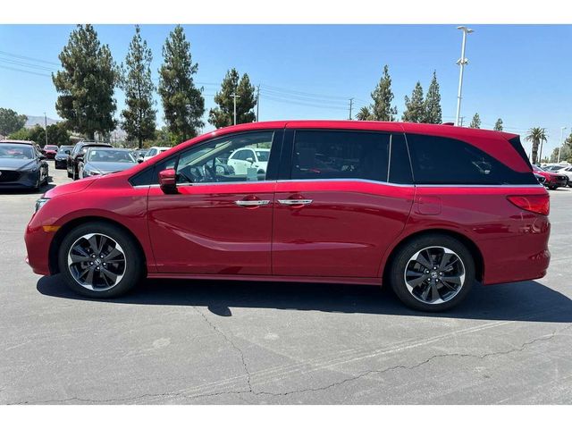 2023 Honda Odyssey Elite