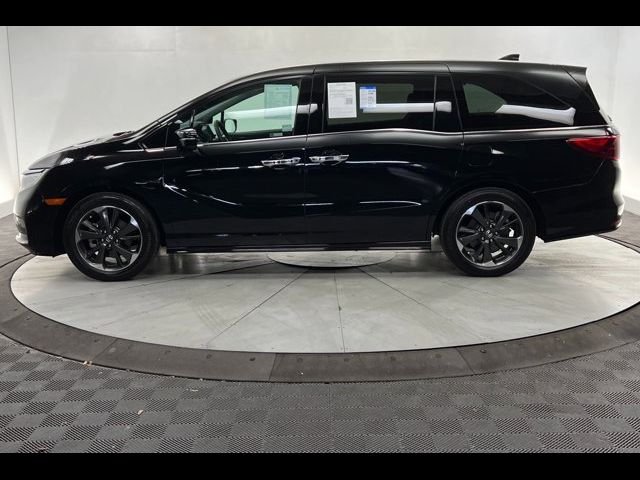 2023 Honda Odyssey Elite