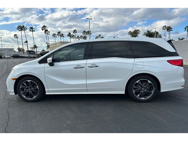 2023 Honda Odyssey Elite