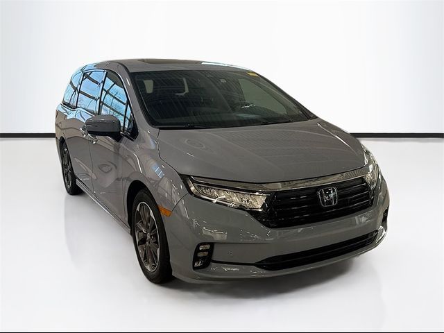 2023 Honda Odyssey Elite