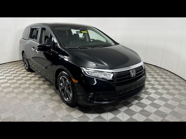 2023 Honda Odyssey Elite