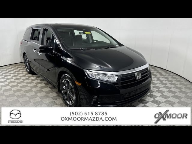 2023 Honda Odyssey Elite