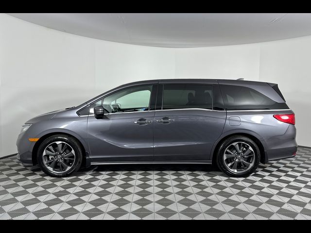 2023 Honda Odyssey Elite